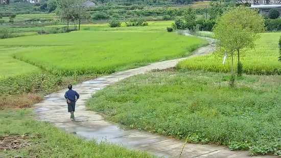 Hicotek 20X Zoom Sony Starlight IP and Ahd PTZ Camera with 120m Long IR Range